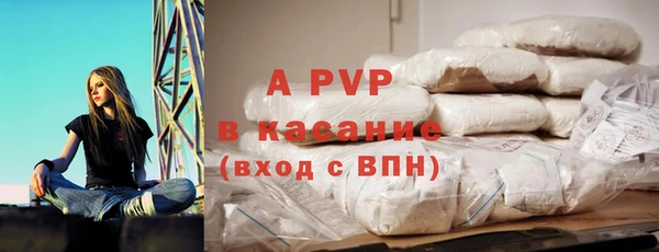 тгк Новосибирск