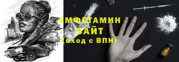 крисы Пересвет