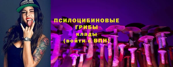 дмт Переславль-Залесский