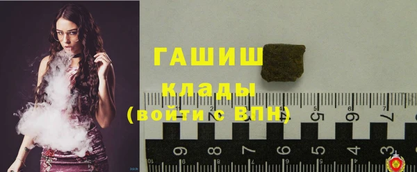 дмт Переславль-Залесский