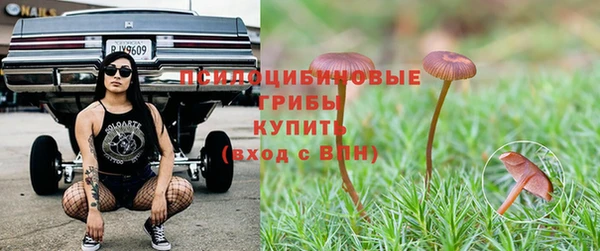 герыч Ессентукская